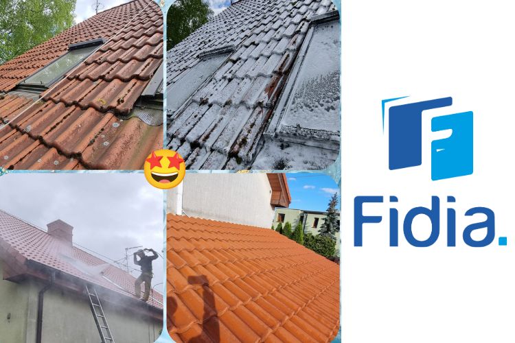 Czyszczenie dachu lubuskie