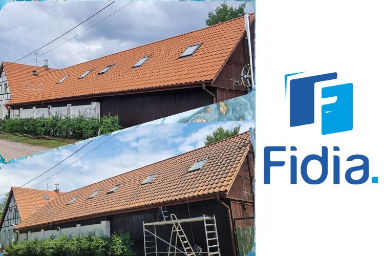 Czyszczenie dachu pokrytego dachówkami Benkowo