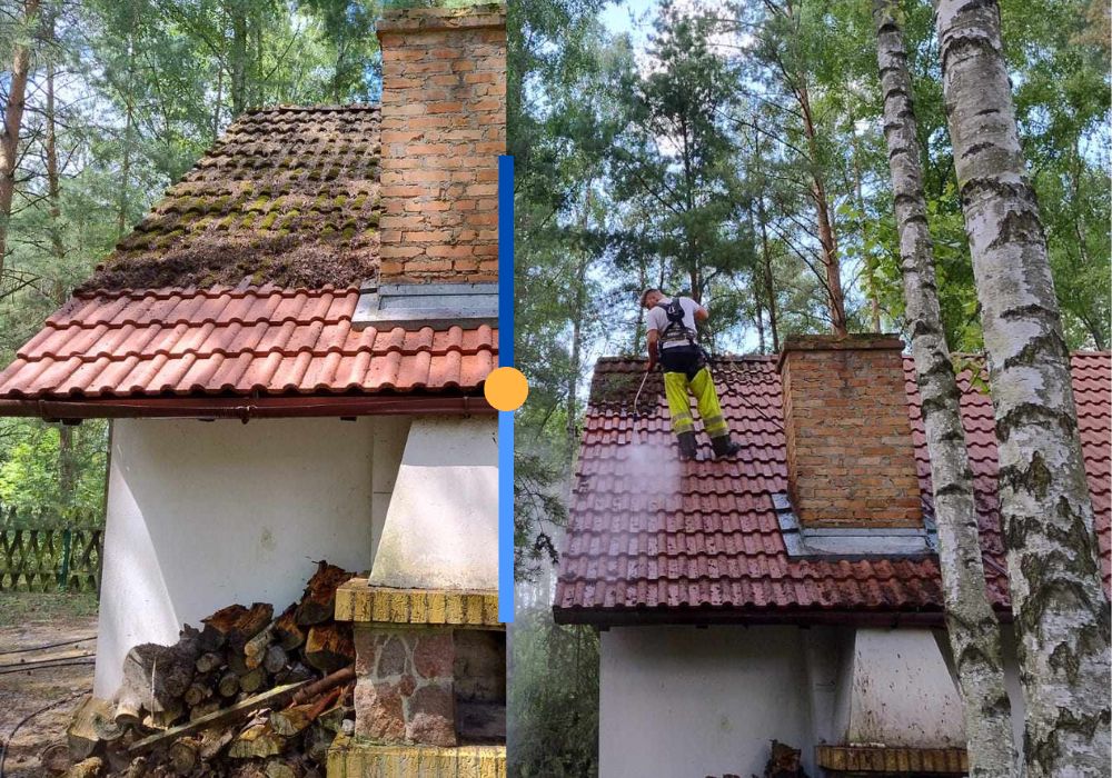 CzyścimyDomy.pl - Czyszczenie, malowanie, odgrzybianie elewacji, dachów.