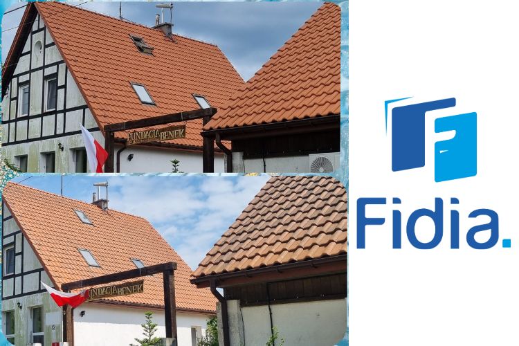 Czyszczenie i konserwacja dachu Benkowo