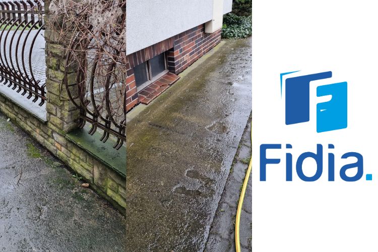 Mycie podjazdu i impregnacja lubskie