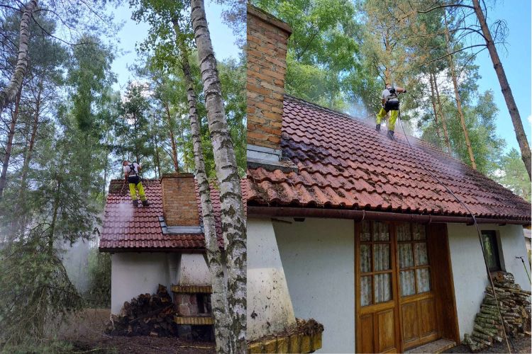 Usuwanie mchu i porostów z dachu lubuskie